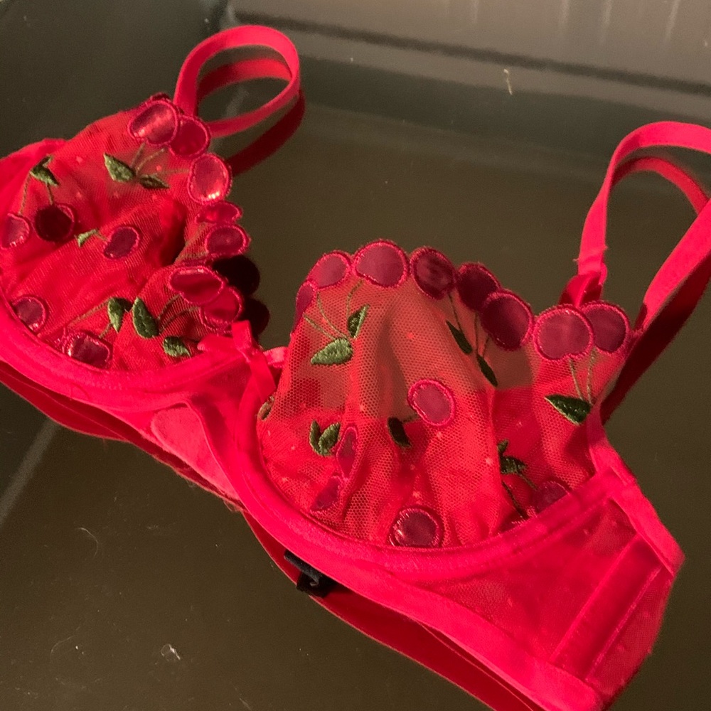 For Love and Lemons Cerise Bra